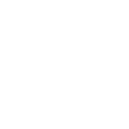 Syno is a company that uses GDPR